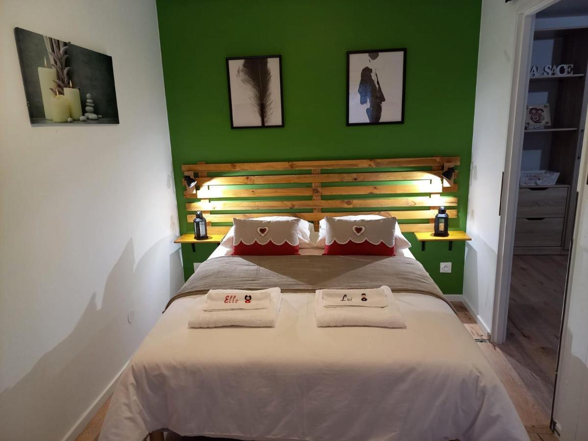 Le Passage Gite Cocooning A Colmar Centre Touristique Экстерьер фото